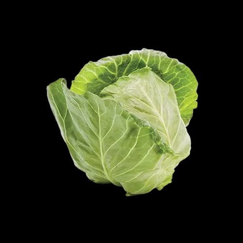 Chinese white Cabbage ( 1 piece )