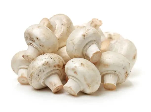 Fresh Mushroom plate (200 g)