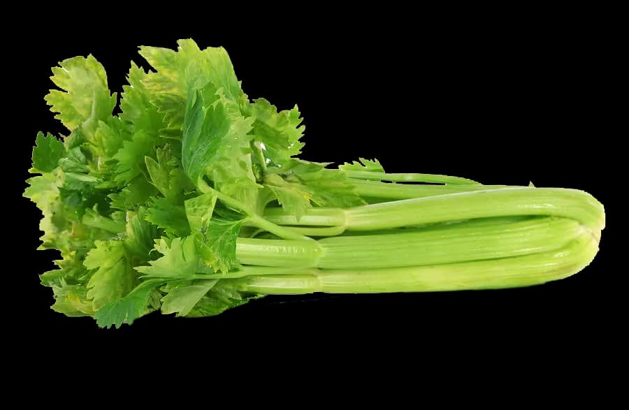 French Celery ( 1 Piece )