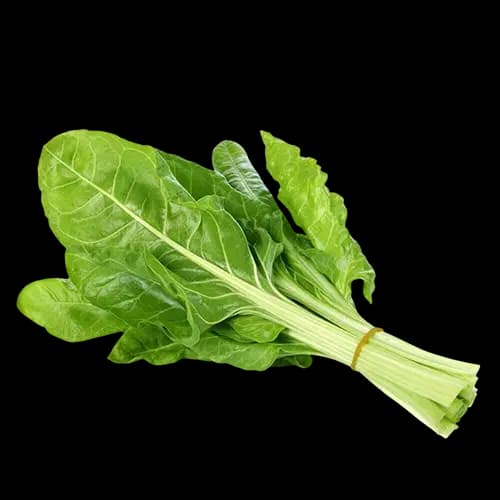 Swiss Chard ( 1 piece )