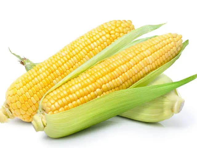 Sweet corn ( 3 piece )